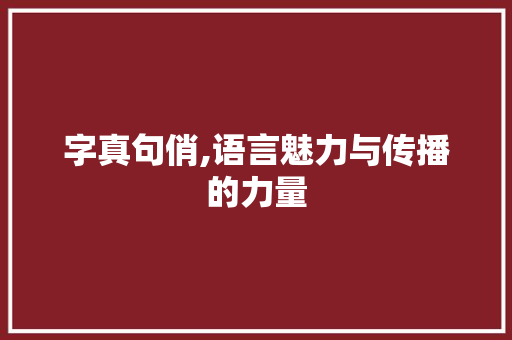 字真句俏,语言魅力与传播的力量 范文赏析