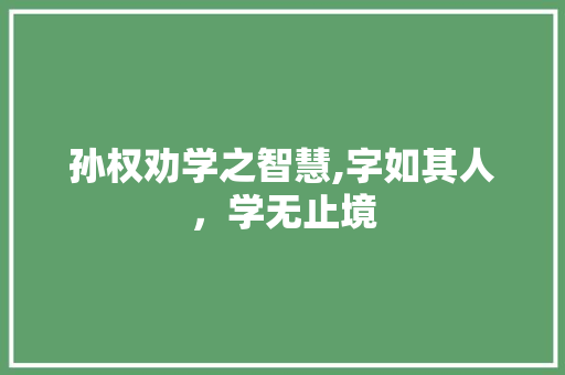 孙权劝学之智慧,字如其人，学无止境