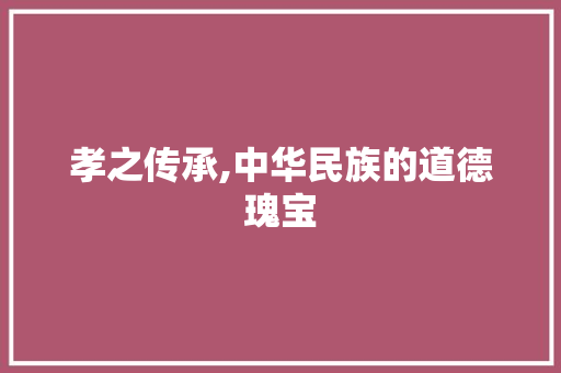 孝之传承,中华民族的道德瑰宝