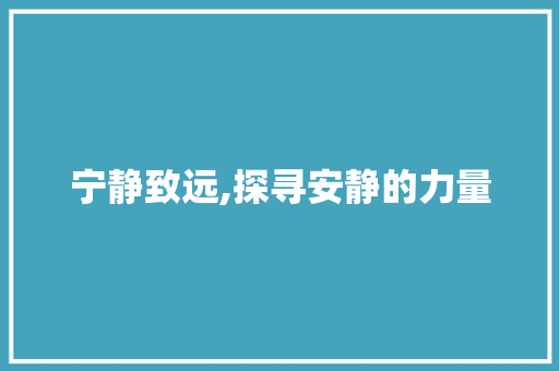 宁静致远,探寻安静的力量