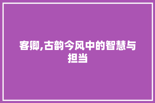 客卿,古韵今风中的智慧与担当