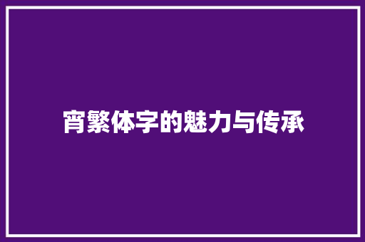 宵繁体字的魅力与传承