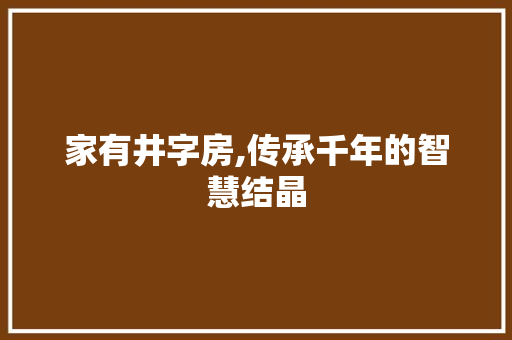 家有井字房,传承千年的智慧结晶