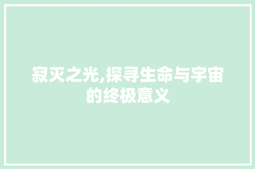 寂灭之光,探寻生命与宇宙的终极意义