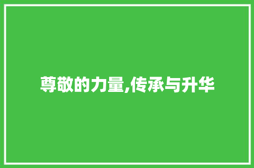 尊敬的力量,传承与升华
