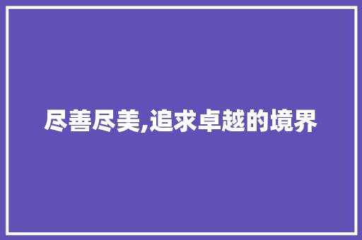 尽善尽美,追求卓越的境界