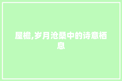 屋檐,岁月沧桑中的诗意栖息