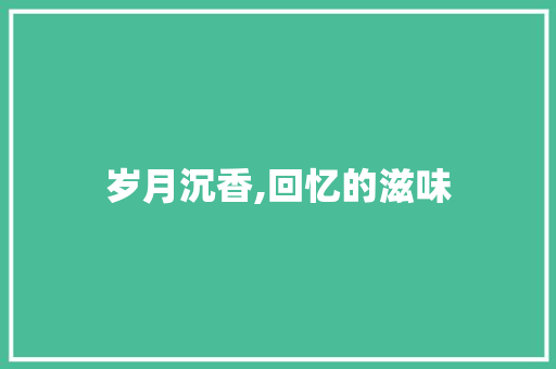 岁月沉香,回忆的滋味 简历模板