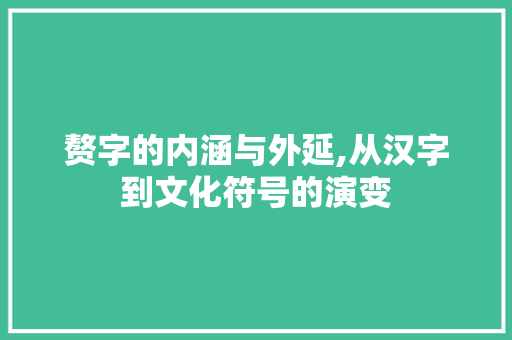 赘字的内涵与外延,从汉字到文化符号的演变 词汇积累