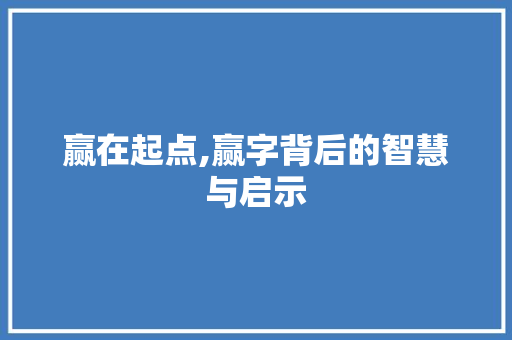 赢在起点,赢字背后的智慧与启示