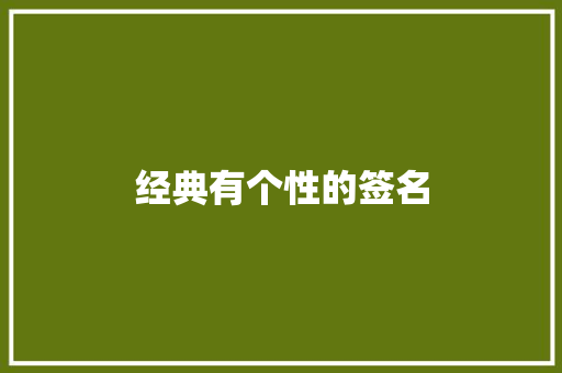 经典有个性的签名 报告写作