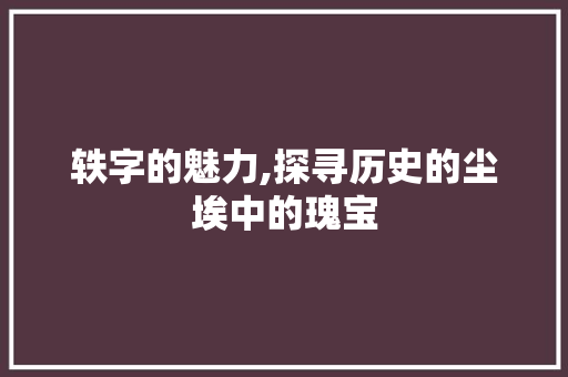 轶字的魅力,探寻历史的尘埃中的瑰宝