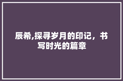 辰希,探寻岁月的印记，书写时光的篇章