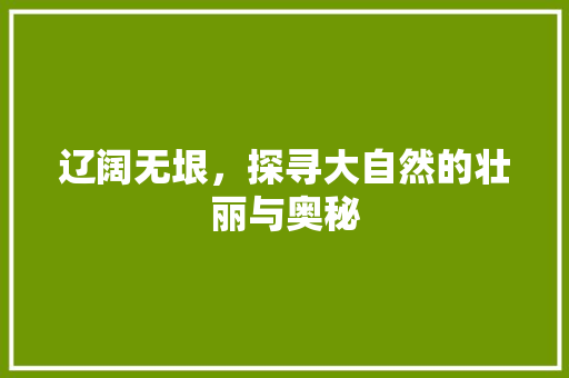 辽阔无垠，探寻大自然的壮丽与奥秘 写作技巧