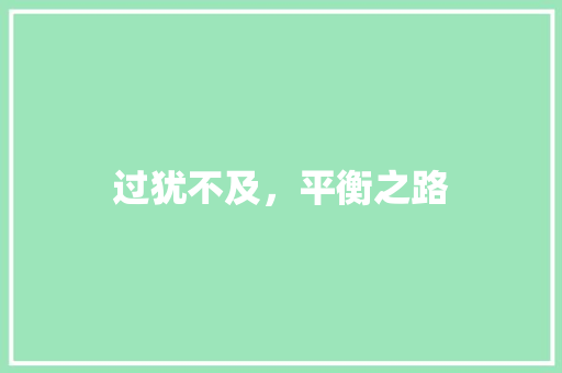过犹不及，平衡之路 范文赏析