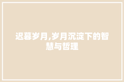 迟暮岁月,岁月沉淀下的智慧与哲理 范文赏析