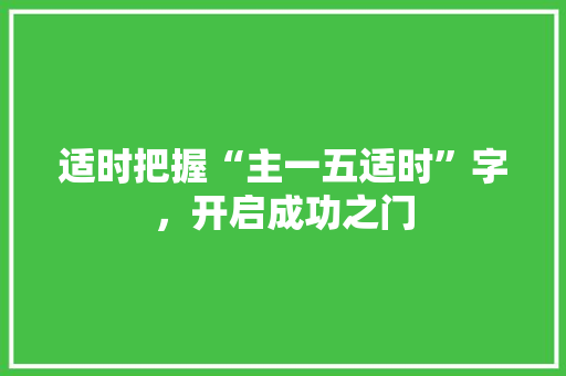 适时把握“主一五适时”字，开启成功之门