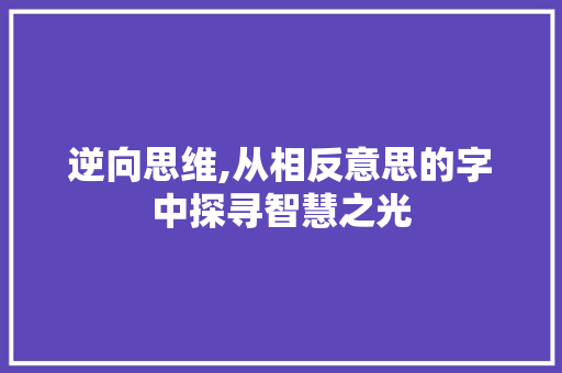 逆向思维,从相反意思的字中探寻智慧之光