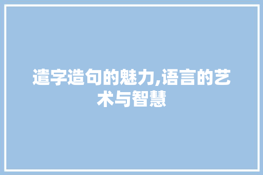 遣字造句的魅力,语言的艺术与智慧
