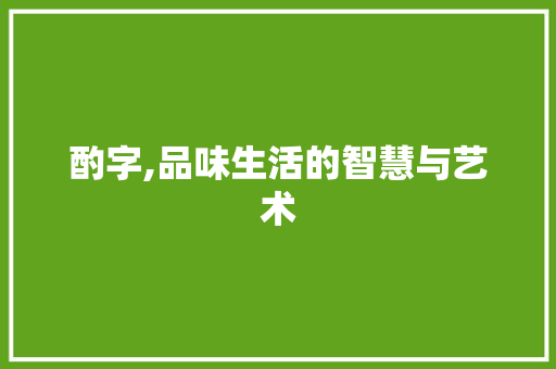 酌字,品味生活的智慧与艺术
