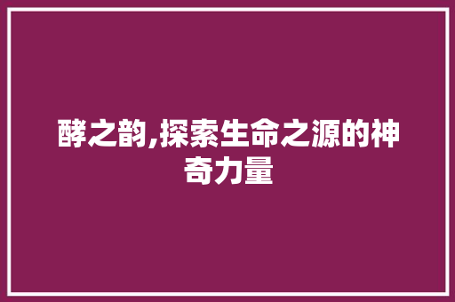 酵之韵,探索生命之源的神奇力量