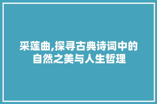 采莲曲,探寻古典诗词中的自然之美与人生哲理