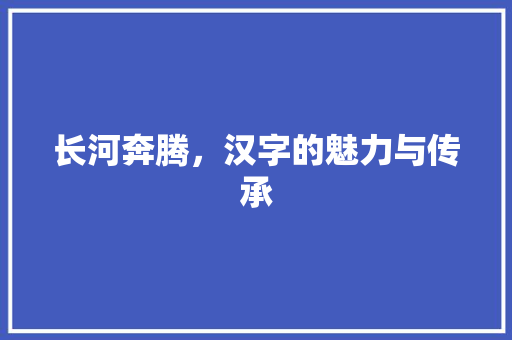 长河奔腾，汉字的魅力与传承