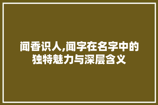 闻香识人,闻字在名字中的独特魅力与深层含义