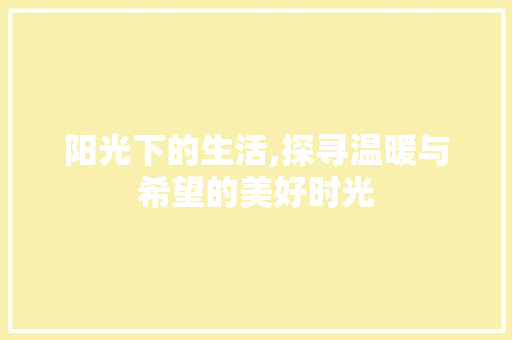 阳光下的生活,探寻温暖与希望的美好时光