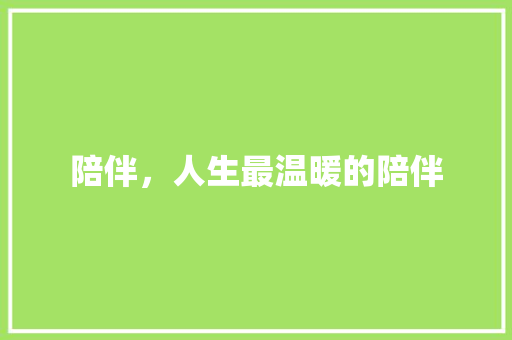 陪伴，人生最温暖的陪伴 写作技巧