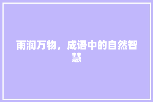 雨润万物，成语中的自然智慧