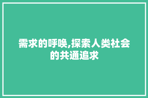 需求的呼唤,探索人类社会的共通追求 写作技巧