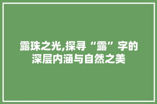 露珠之光,探寻“露”字的深层内涵与自然之美