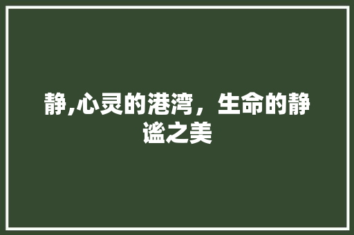 静,心灵的港湾，生命的静谧之美