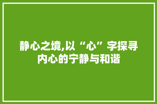 静心之境,以“心”字探寻内心的宁静与和谐