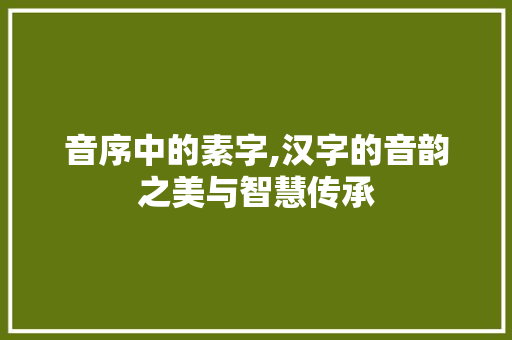 音序中的素字,汉字的音韵之美与智慧传承