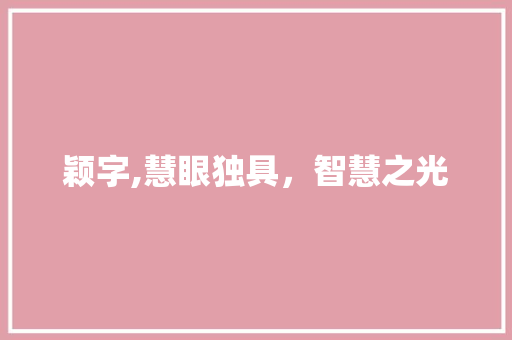 颖字,慧眼独具，智慧之光
