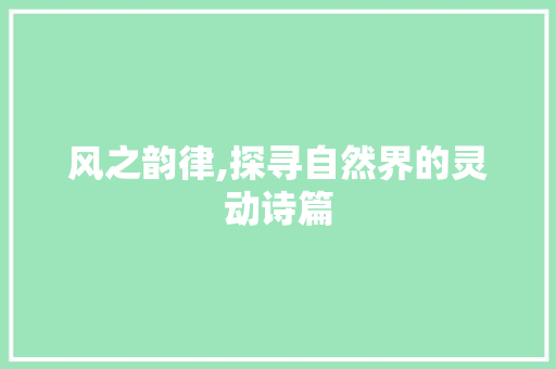 风之韵律,探寻自然界的灵动诗篇