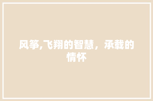 风筝,飞翔的智慧，承载的情怀 写作技巧