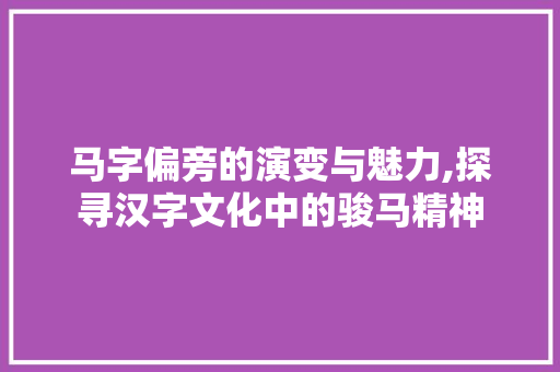 马字偏旁的演变与魅力,探寻汉字文化中的骏马精神