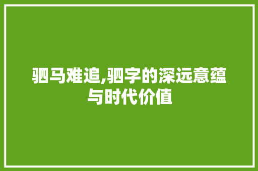 驷马难追,驷字的深远意蕴与时代价值