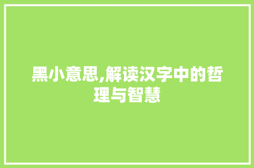黑小意思,解读汉字中的哲理与智慧