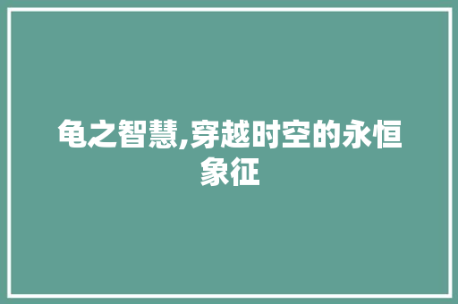 龟之智慧,穿越时空的永恒象征