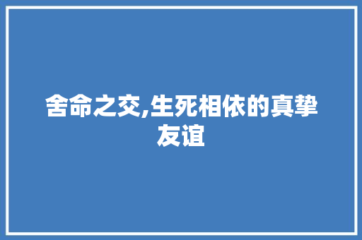 舍命之交,生死相依的真挚友谊 报告写作