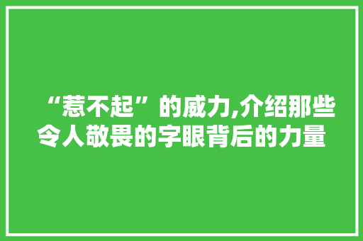 “惹不起”的威力,介绍那些令人敬畏的字眼背后的力量 简历模板