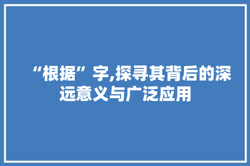 “根据”字,探寻其背后的深远意义与广泛应用