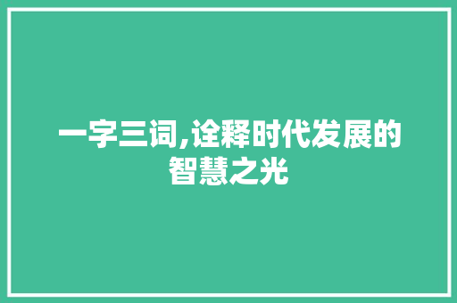 一字三词,诠释时代发展的智慧之光
