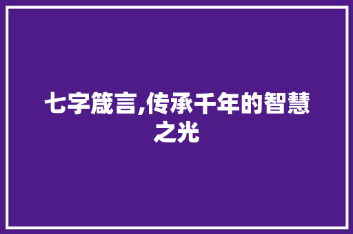 七字箴言,传承千年的智慧之光 词汇积累