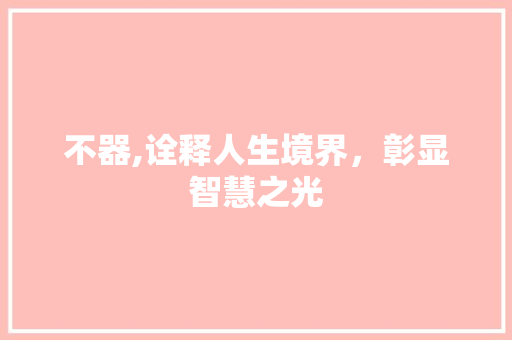不器,诠释人生境界，彰显智慧之光 范文赏析