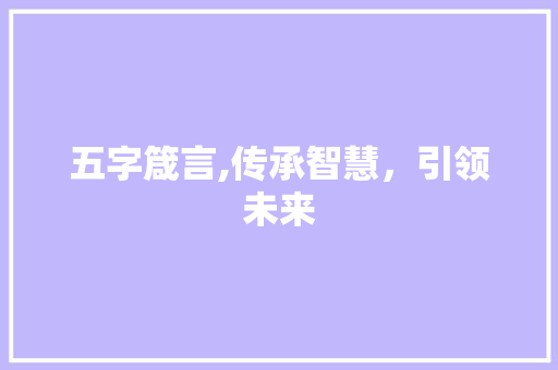 五字箴言,传承智慧，引领未来 写作技巧